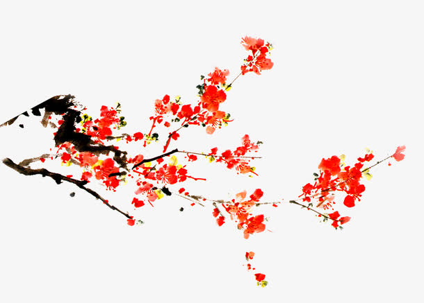中国风梅花免抠
