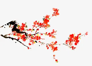 中国风梅花免抠