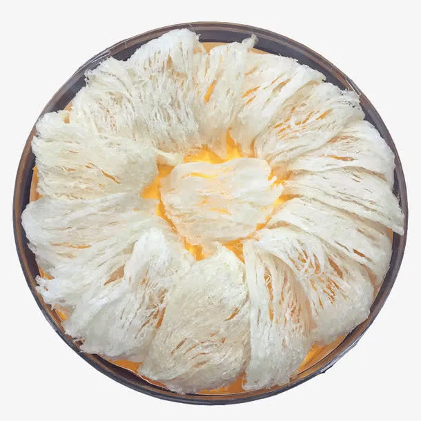 大份白燕盏素材免抠