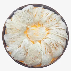 大份白燕盏素材免抠