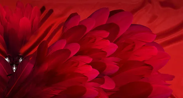 红色背景 8高清