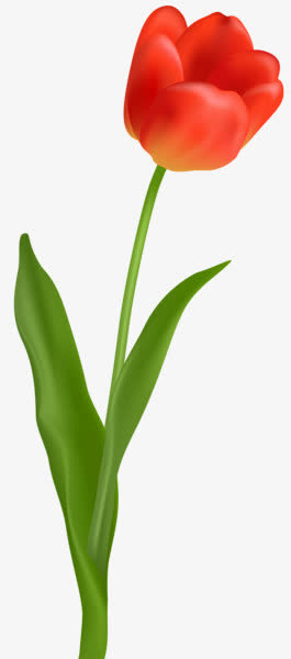 红色卡通花朵一枝花免抠