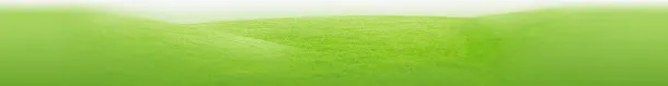 草地草丛素材免抠