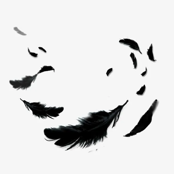羽毛免抠
