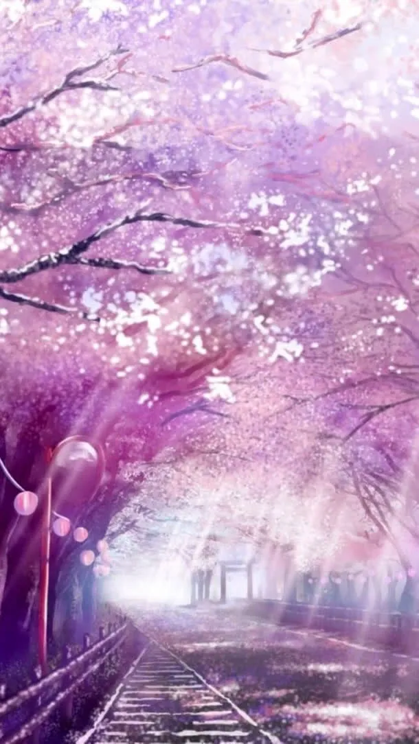 紫色樱花花语桌面免抠背景卡通/手绘元素