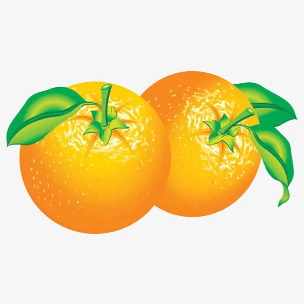 橙子免抠