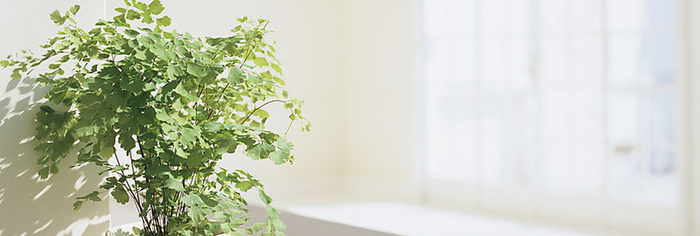 简约背景高清