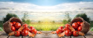 现代简约banner创意海报设计高清