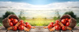 现代简约banner创意海报设计高清