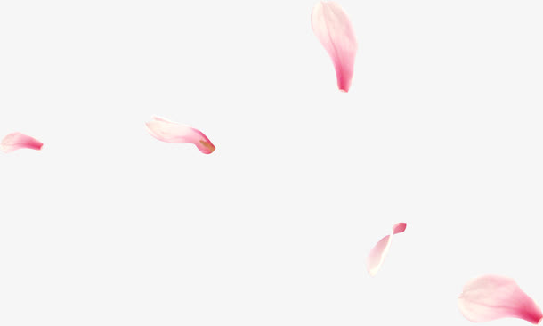 春天漂浮粉色花瓣免抠