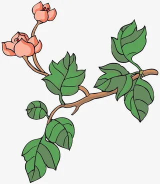 古风手绘粉色桃花花苞绿叶免抠