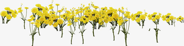 黄色春季花朵装饰免抠