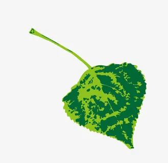 树叶免抠 树叶免抠