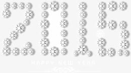 2016白色雪花立体数字免抠