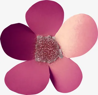 抽象手绘装饰花朵免抠