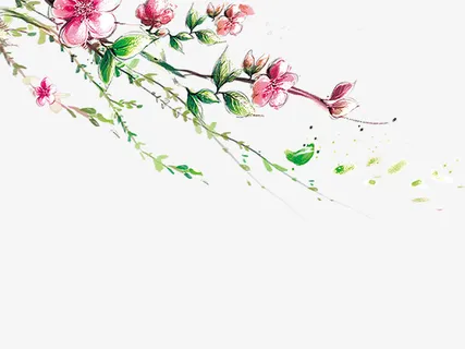 盛开桃花免抠 盛开桃花免抠