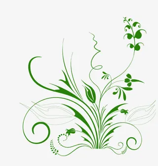 绿色花纹免抠