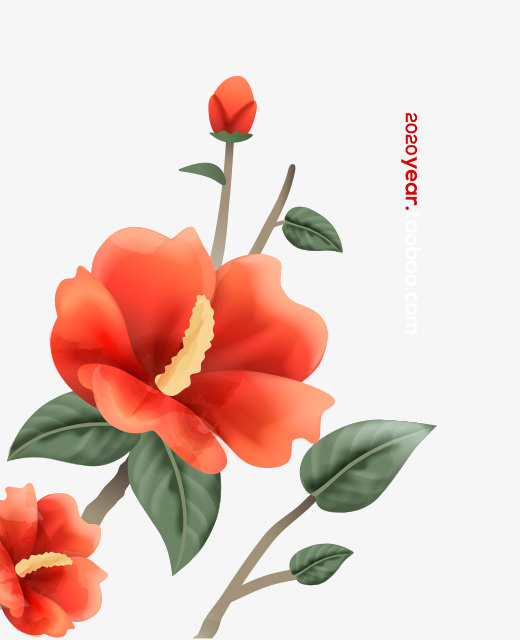 花朵春天花蕊叶子免抠