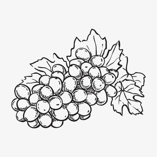 精致可爱葡萄简笔画免抠