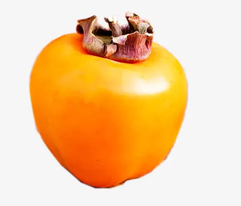 大柿子免抠