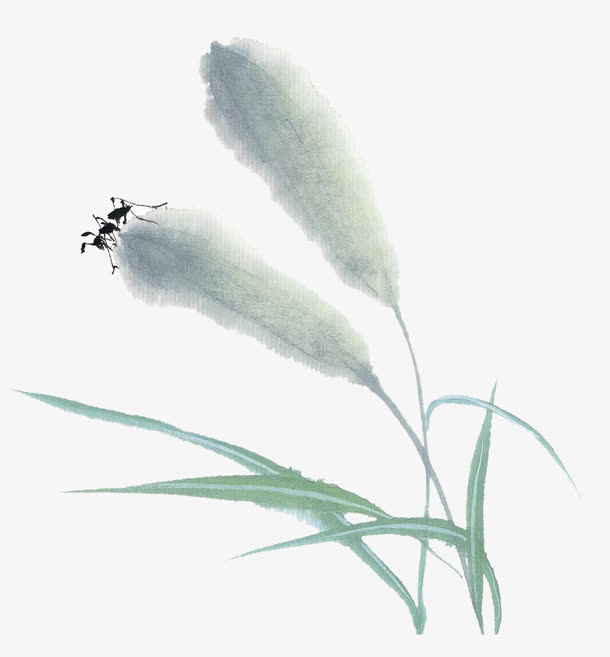 芦苇上的小虫子水彩画免抠