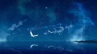 梦幻星空夜景大海平面广告高清