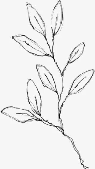 水墨花朵元素72免抠动植物植物元素