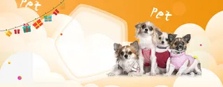 可爱橙色宠物店促销banner高清