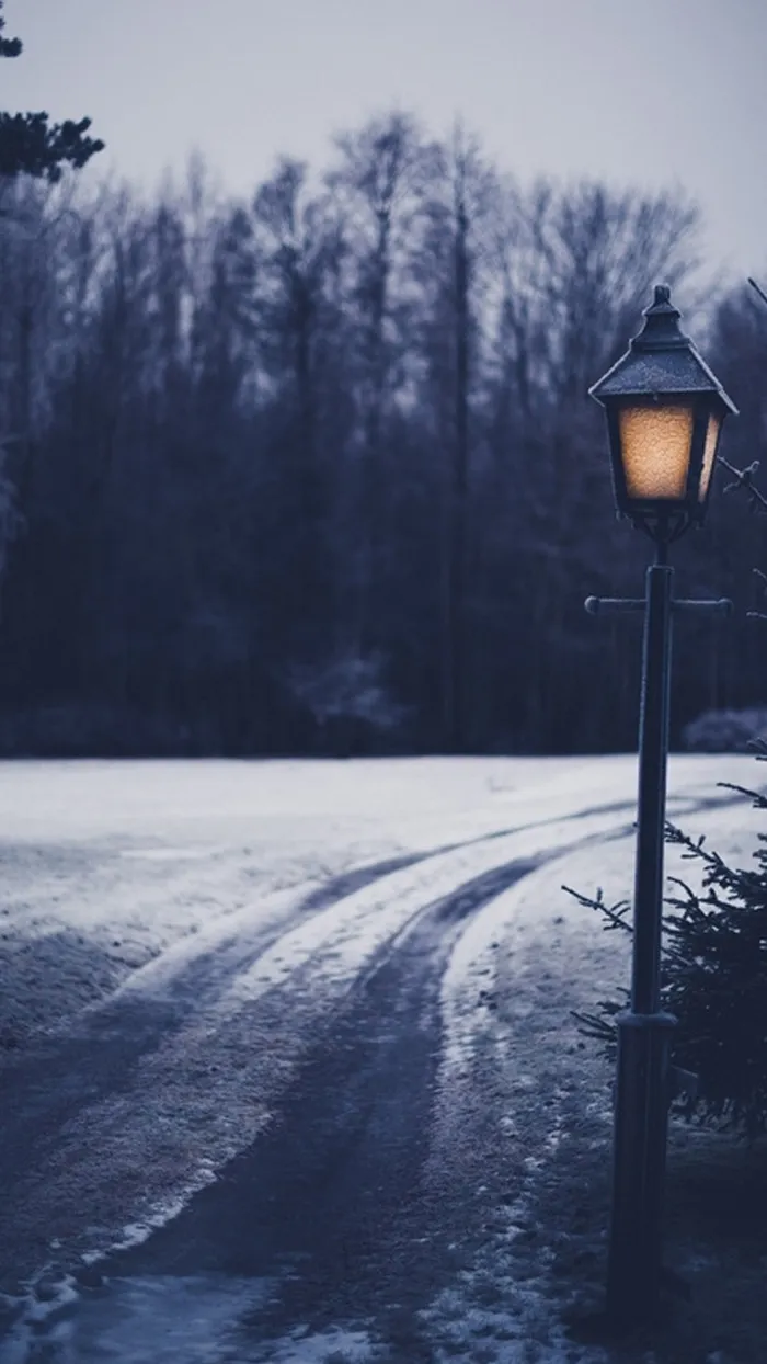 冬天雪景夜景H5背景高清