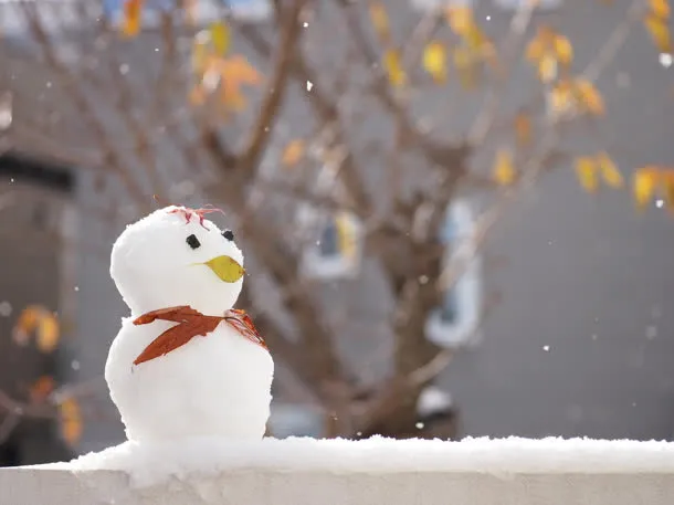 梦幻雪人景观风景免抠