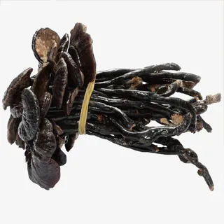 卡通手绘灵芝药材免抠