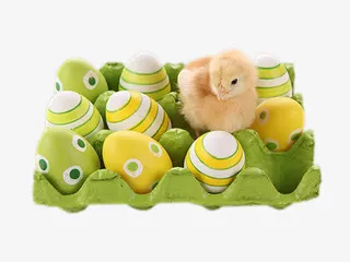 线描花草手绘装饰免抠