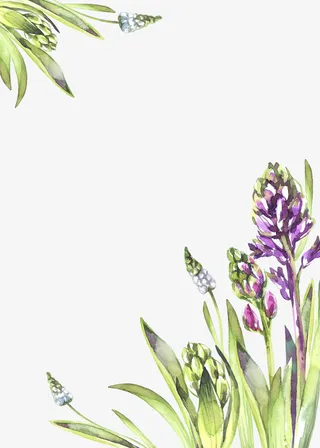 手绘植物花卉花草背景素材