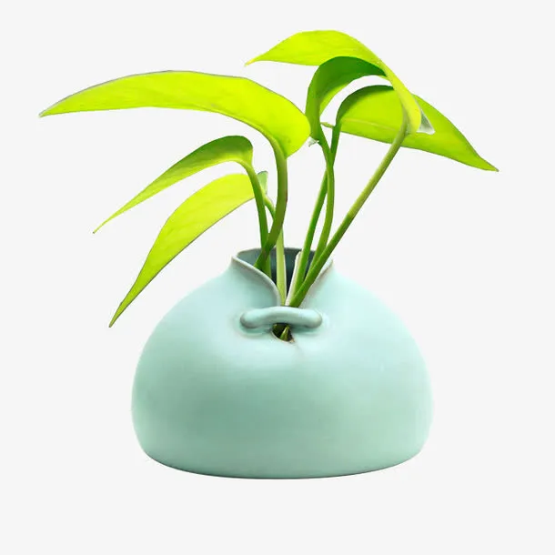 花瓶摆件免抠