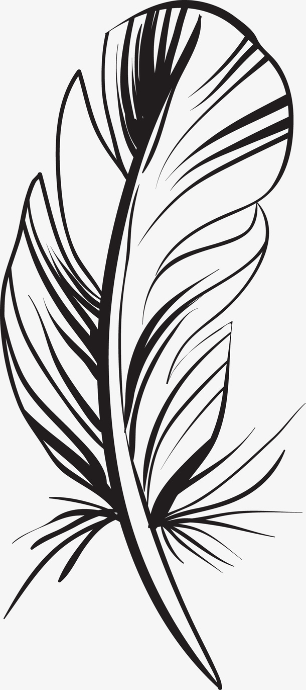 黑色线条羽毛免抠png免抠
