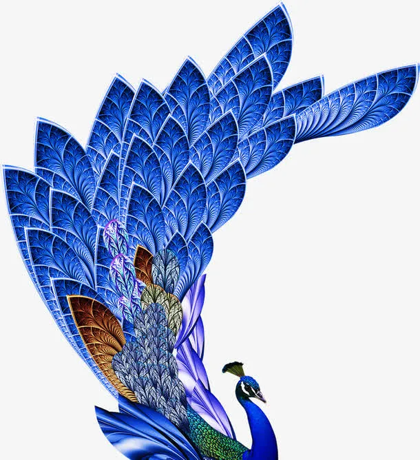 孔雀免抠
