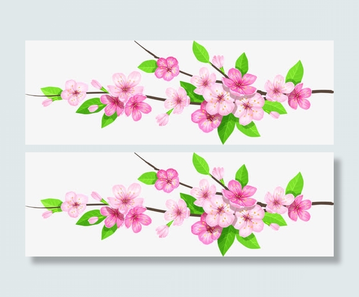 盛开的桃花免抠