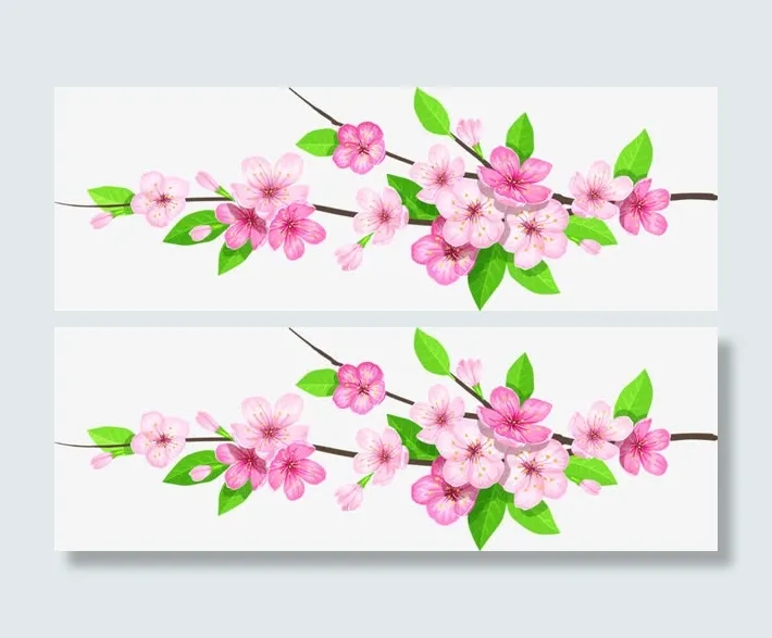 盛开的桃花免抠
