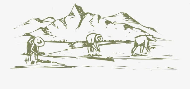 创意农民伯伯在田里插秧免抠