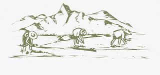 创意农民伯伯在田里插秧免抠