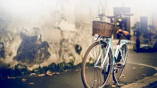 效果摄影接待单车免抠