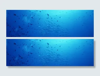 海底世界鱼群背景高清