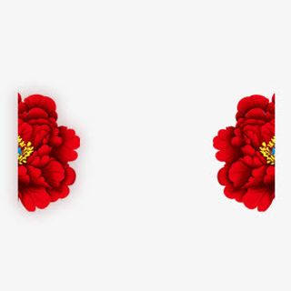 红色牡丹花免抠