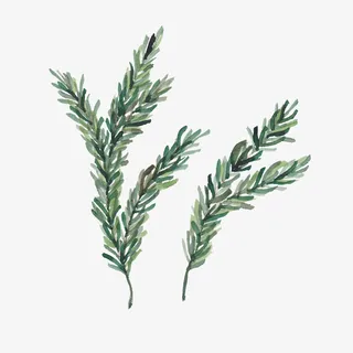 水彩风清新绿色叶子免抠