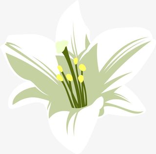 散落的卡通百合花免抠