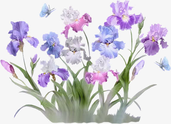 手绘蓝色花朵花瓣花丛免抠