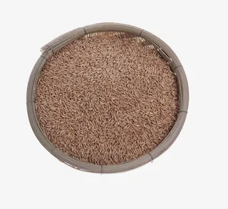 免抠素材油麦图片免抠