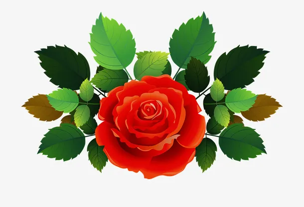 绘制绿叶配一朵红花免抠动植物植物元素