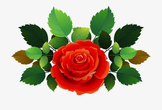 绘制绿叶配一朵红花免抠动植物植物元素