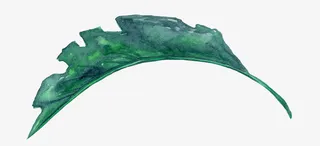 卡通简约落叶叶子装饰设计免抠